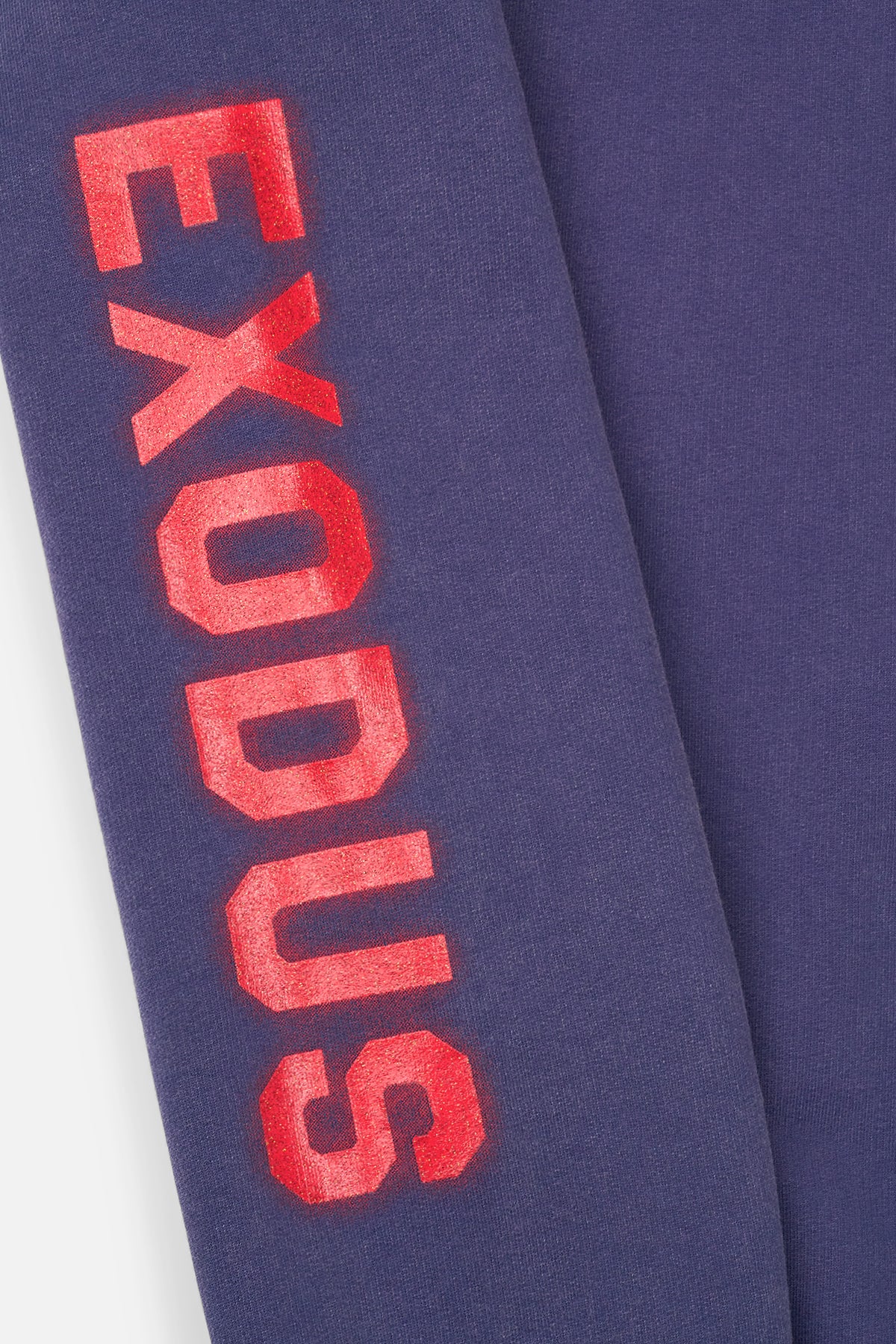 DION HOODIE | PATRIOT BLUE EXODUS - Image 5