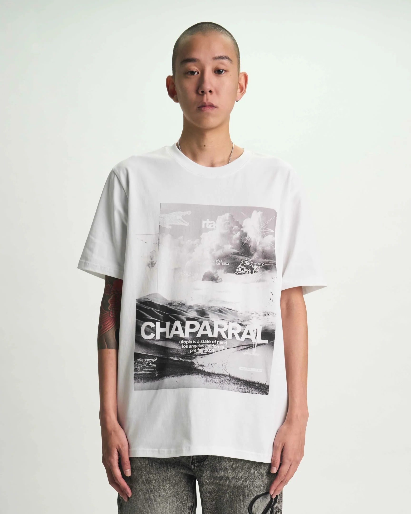 LIAM SHORT SLEEVE TEE | WHITE CHAPARRAL - Image 5