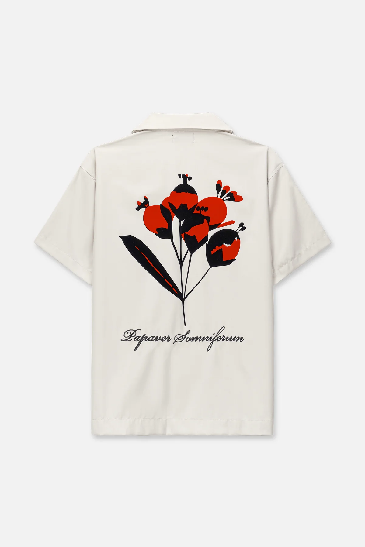 NATHAN SHORT SLEEVE SHIRT | BEIGE POPPY - Image 4